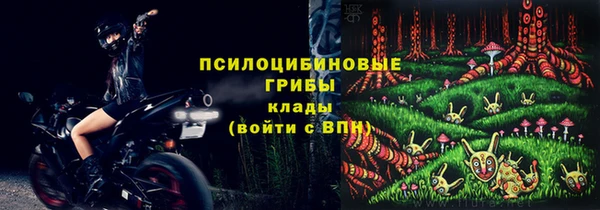 МДПВ Богданович