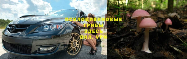 МДПВ Богданович