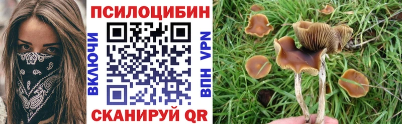 Псилоцибиновые грибы прущие грибы Великий Устюг