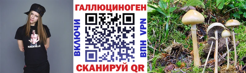 купить  цена  Великий Устюг  дарк нет официальный сайт  Галлюциногенные грибы мухоморы 